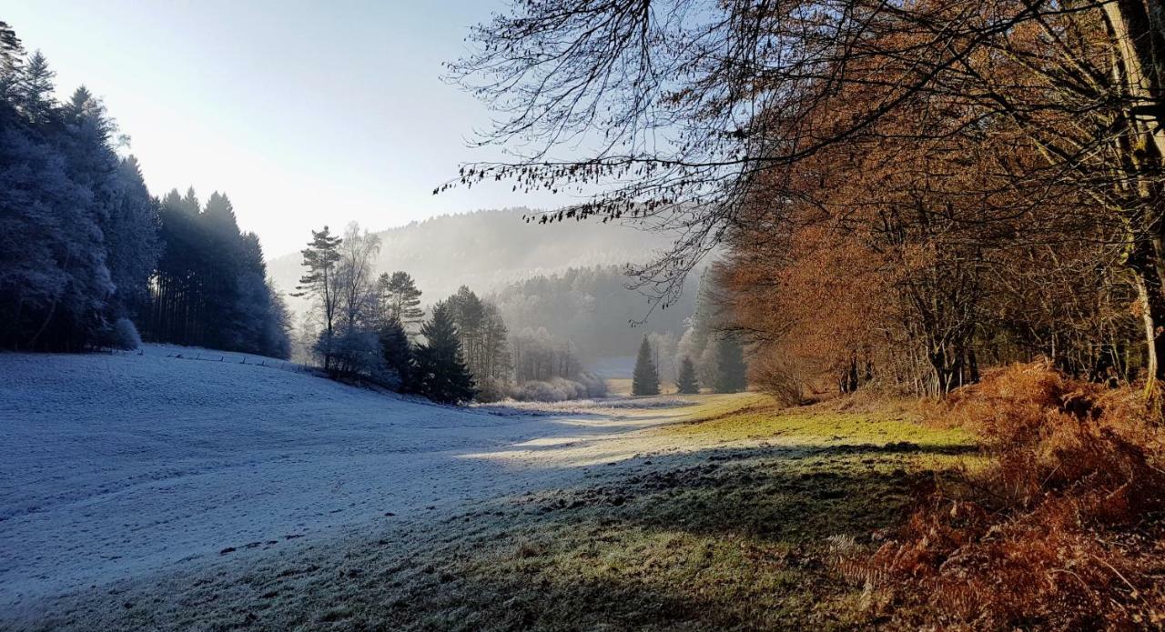 UrlaubsRaum Lägenhet Heiligkreuzsteinach Exteriör bild