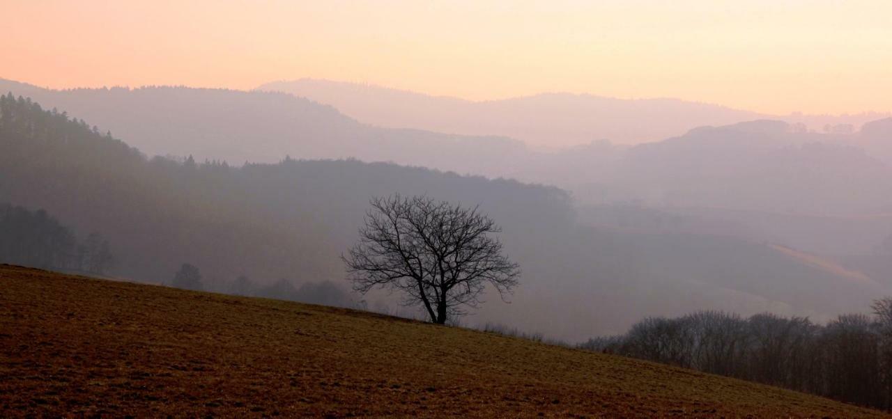 UrlaubsRaum Lägenhet Heiligkreuzsteinach Exteriör bild