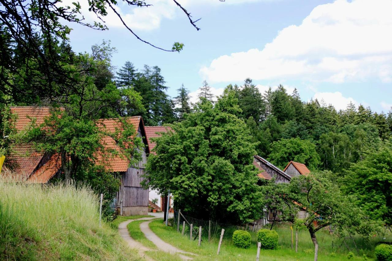 UrlaubsRaum Lägenhet Heiligkreuzsteinach Exteriör bild